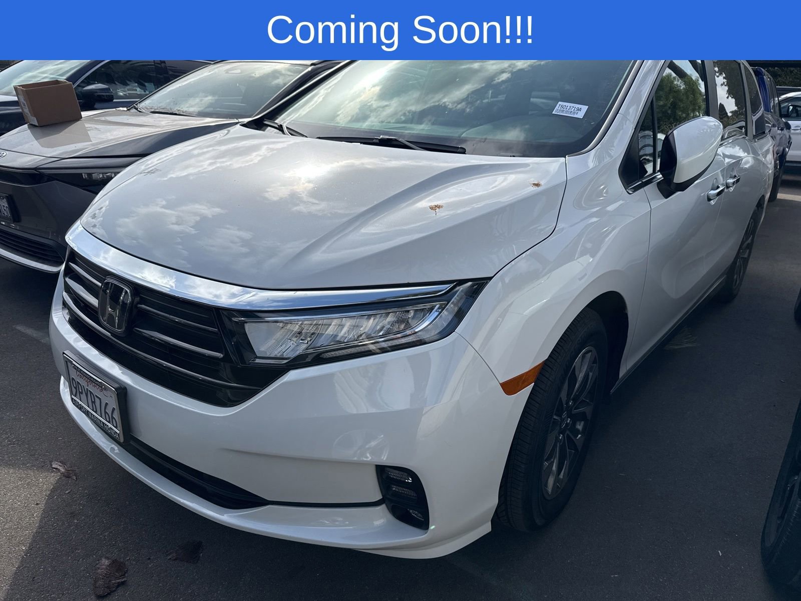 2024 Honda Odyssey EX-L's photo