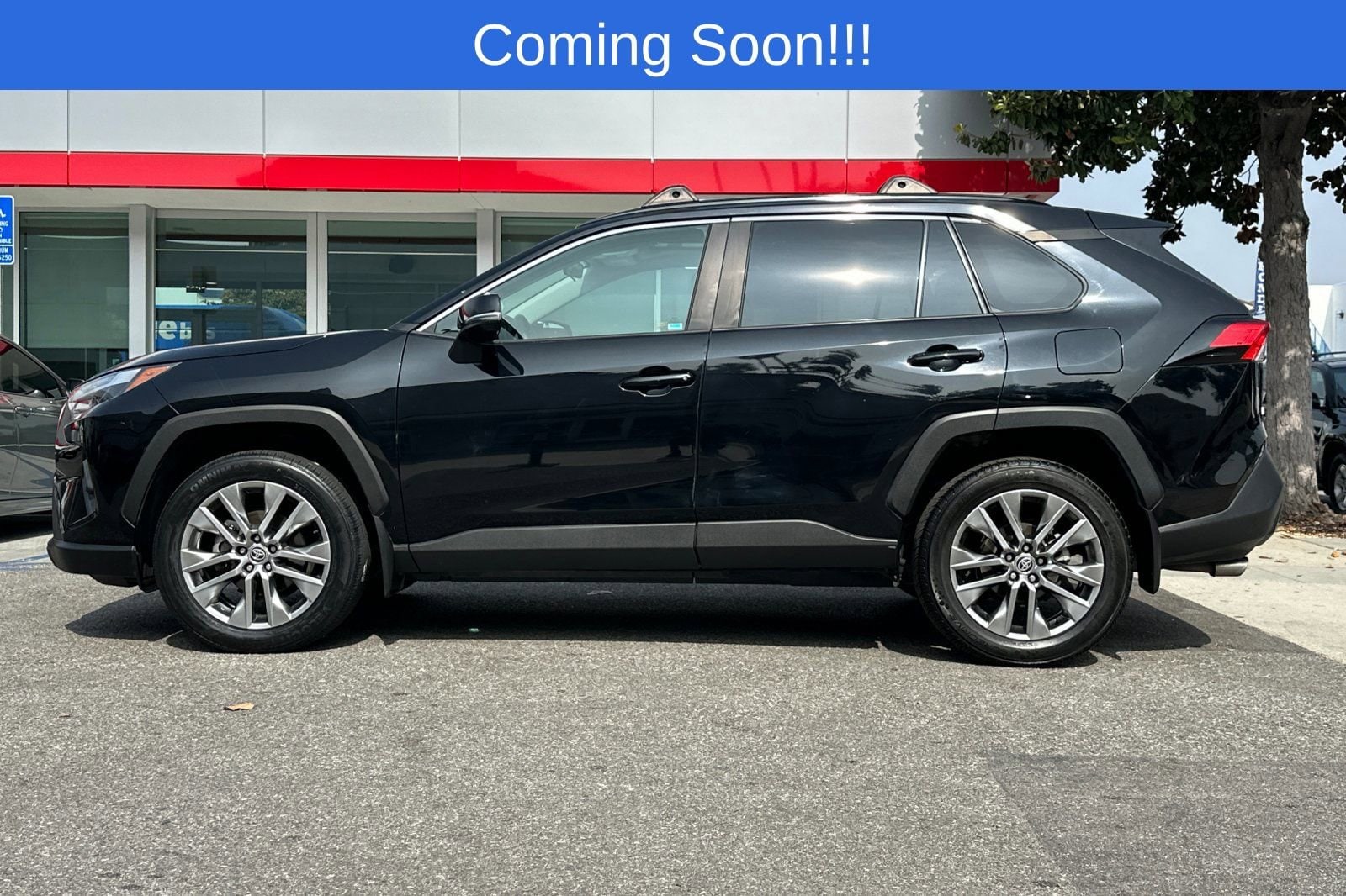 2023 Toyota RAV4 XLE Premium photo 6