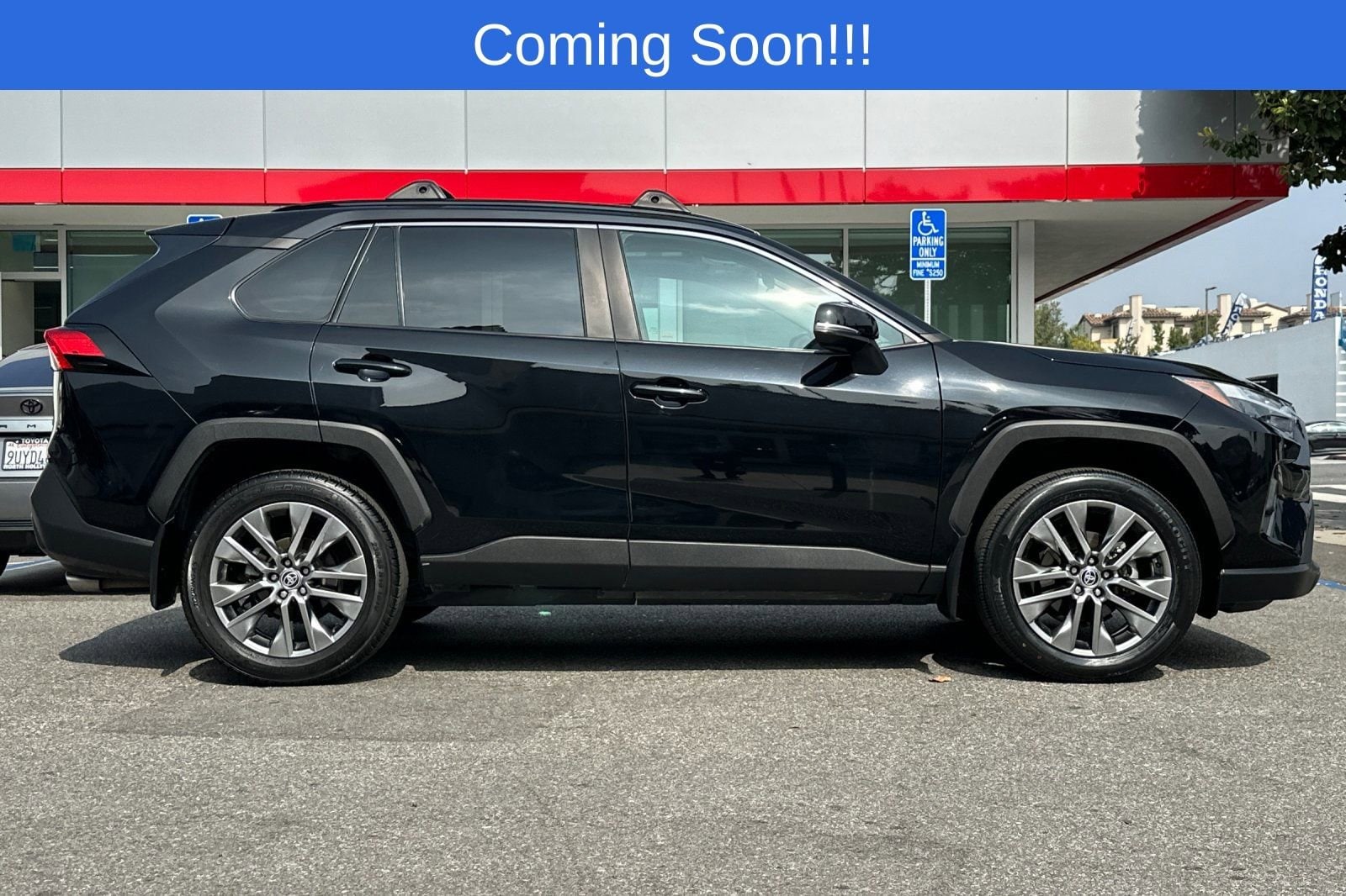 2023 Toyota RAV4 XLE Premium photo 2