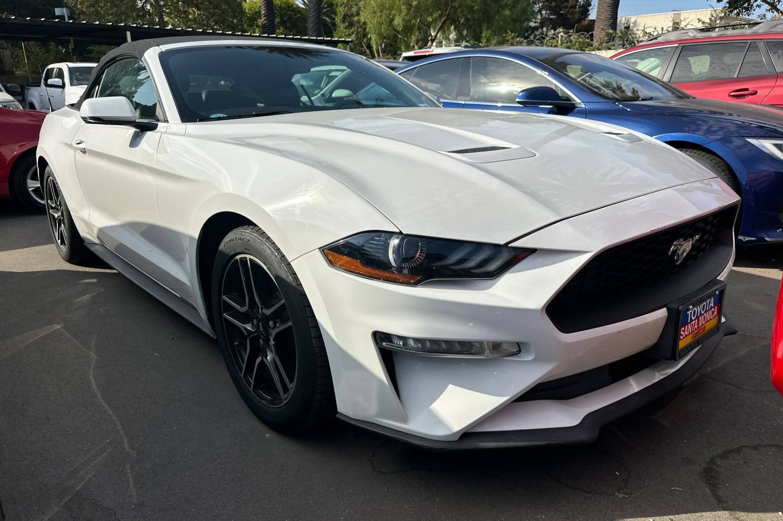 Used 2019 Ford Mustang EcoBoost Premium with VIN 1FATP8UH3K5148548 for sale in Santa Monica, CA