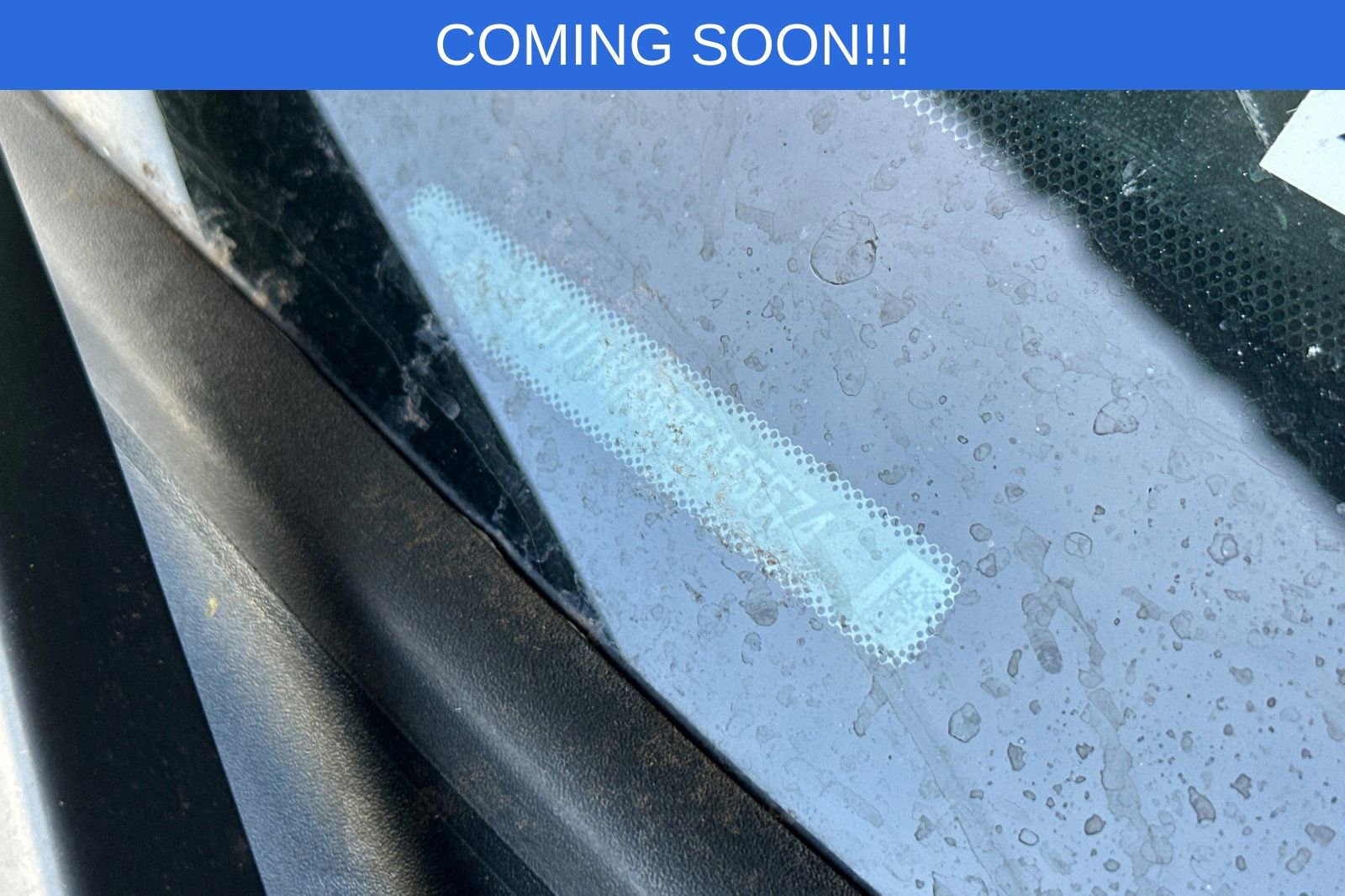 2023 Ford Expedition Limited photo 3