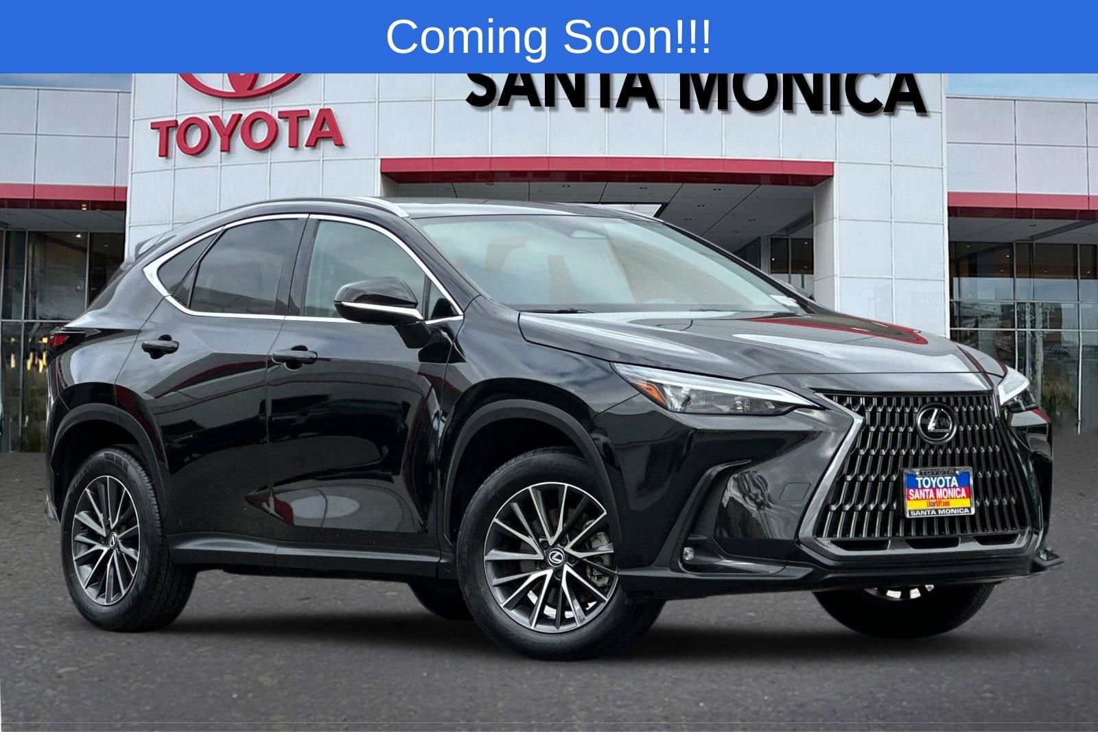 2024 Lexus NX 350 250 FWD's photo