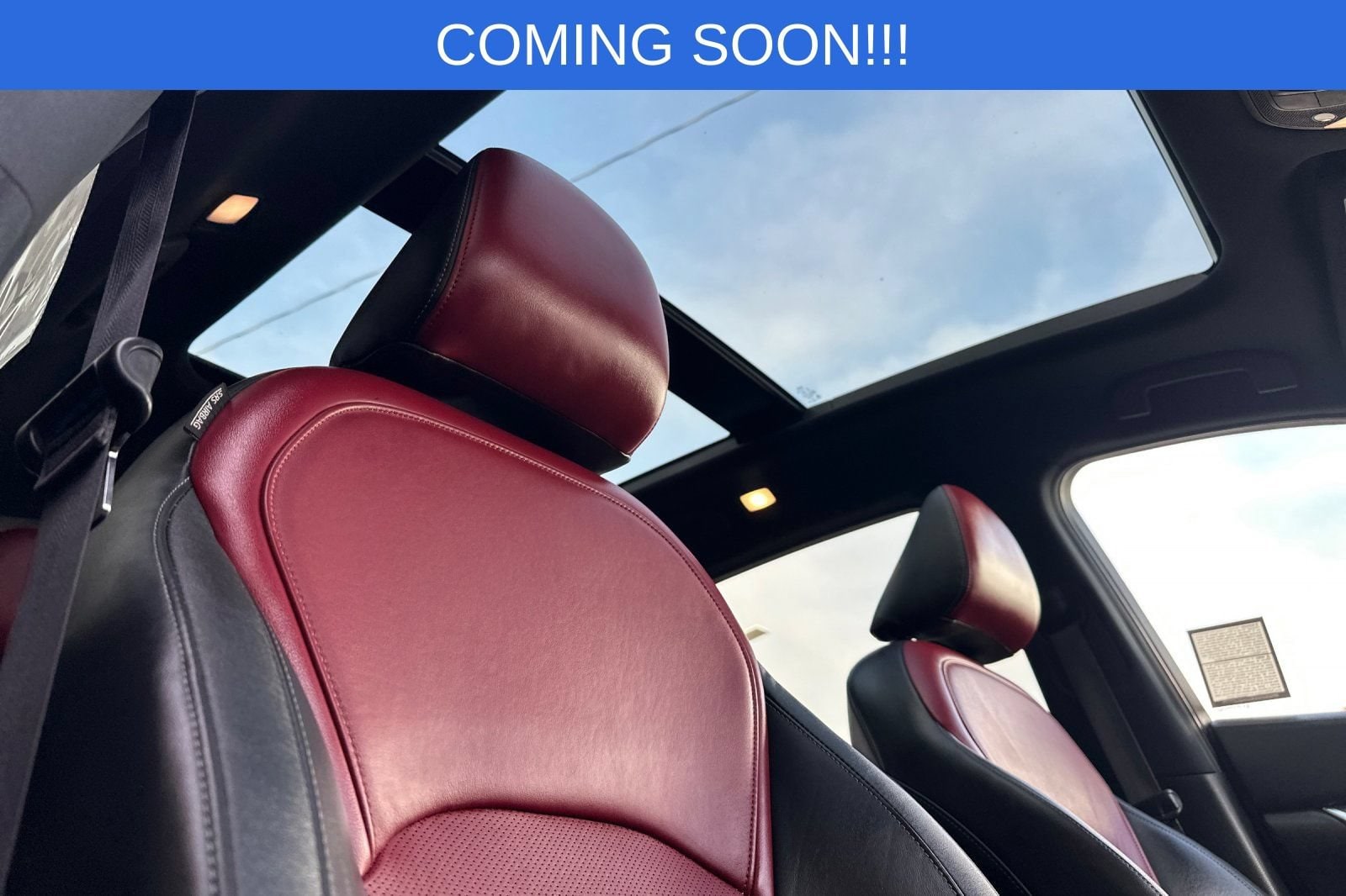 2023 INFINITI QX50 Sport - Photo 17