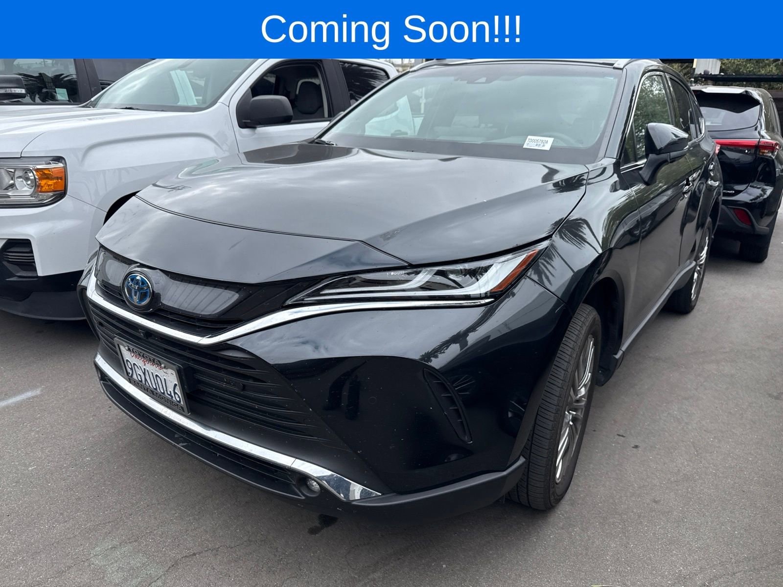 2023 Toyota Venza Limited Hybrid AWD's photo