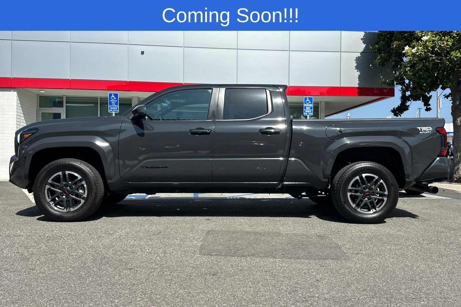 2024 Toyota Tacoma TRD Sport photo 6