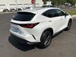 2025 LEXUS NX NX 350 Premium SUV
