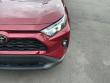 2024 Toyota RAV4 XLE Premium SUV