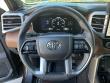 2025 Toyota Tundra 4WD 1794 Edition Pickup