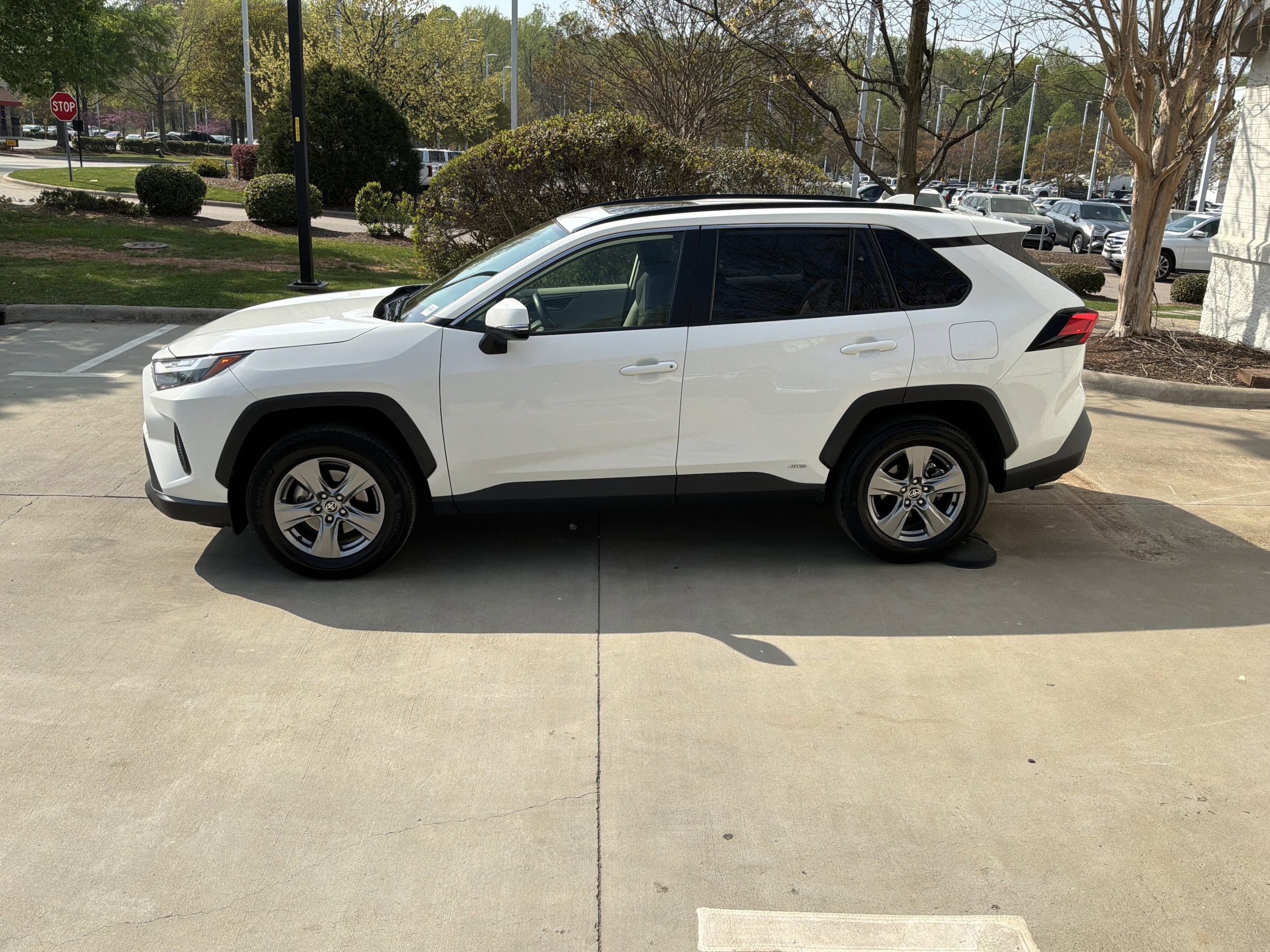 2023 Toyota RAV4 Hybrid XLE photo 3