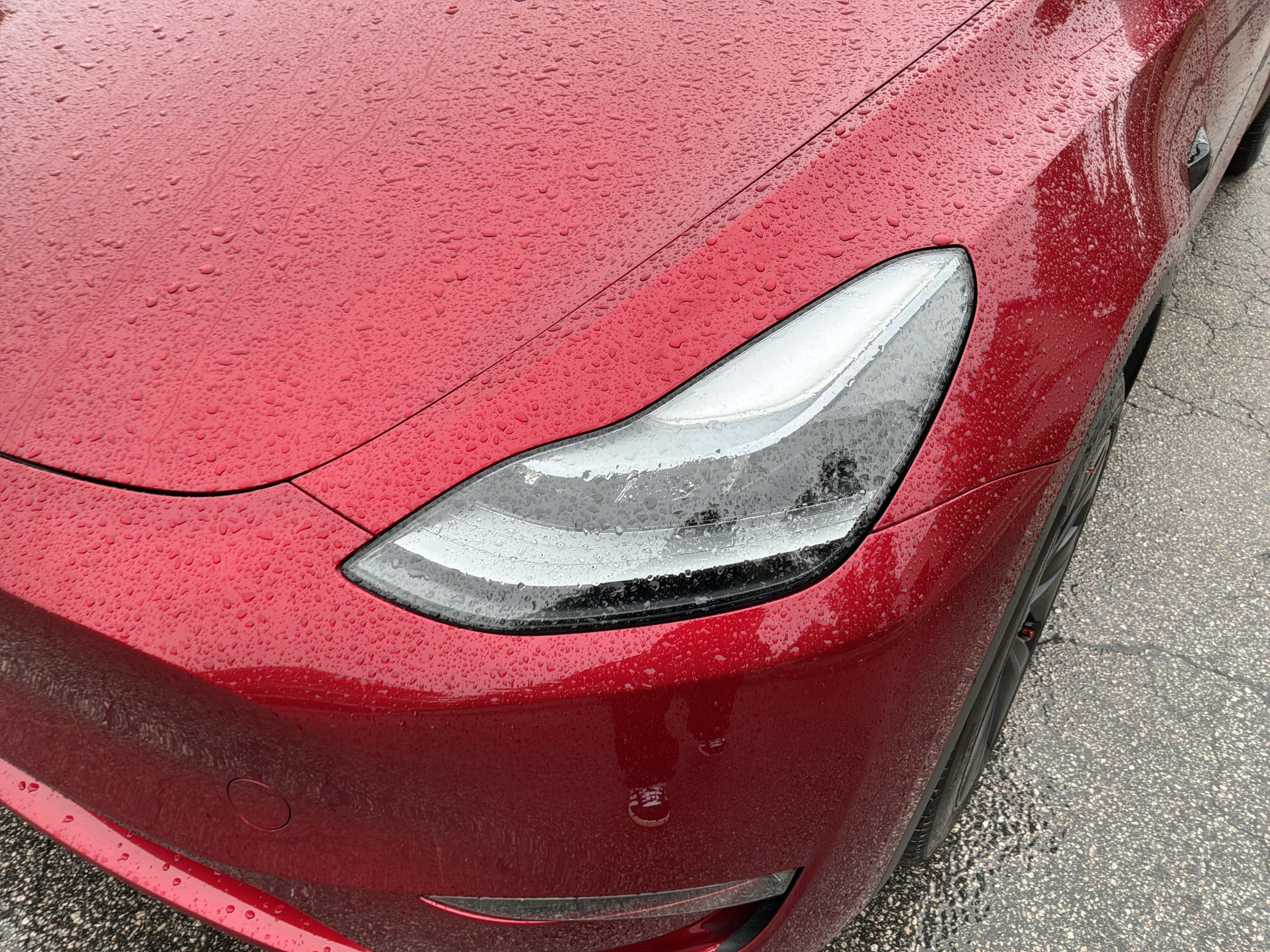 2024 Tesla Model Y Long Range photo 4