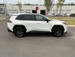 2026 Toyota RAV4 XLE Premium SUV