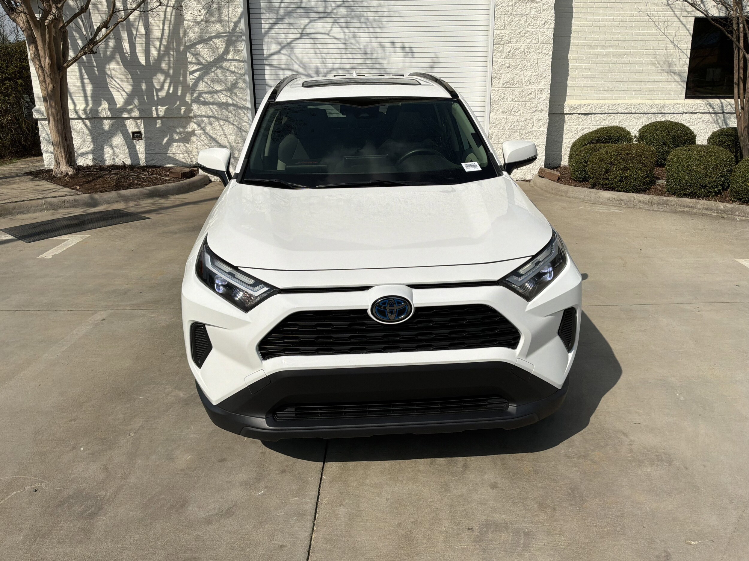 2023 Toyota RAV4 Hybrid XLE photo 2