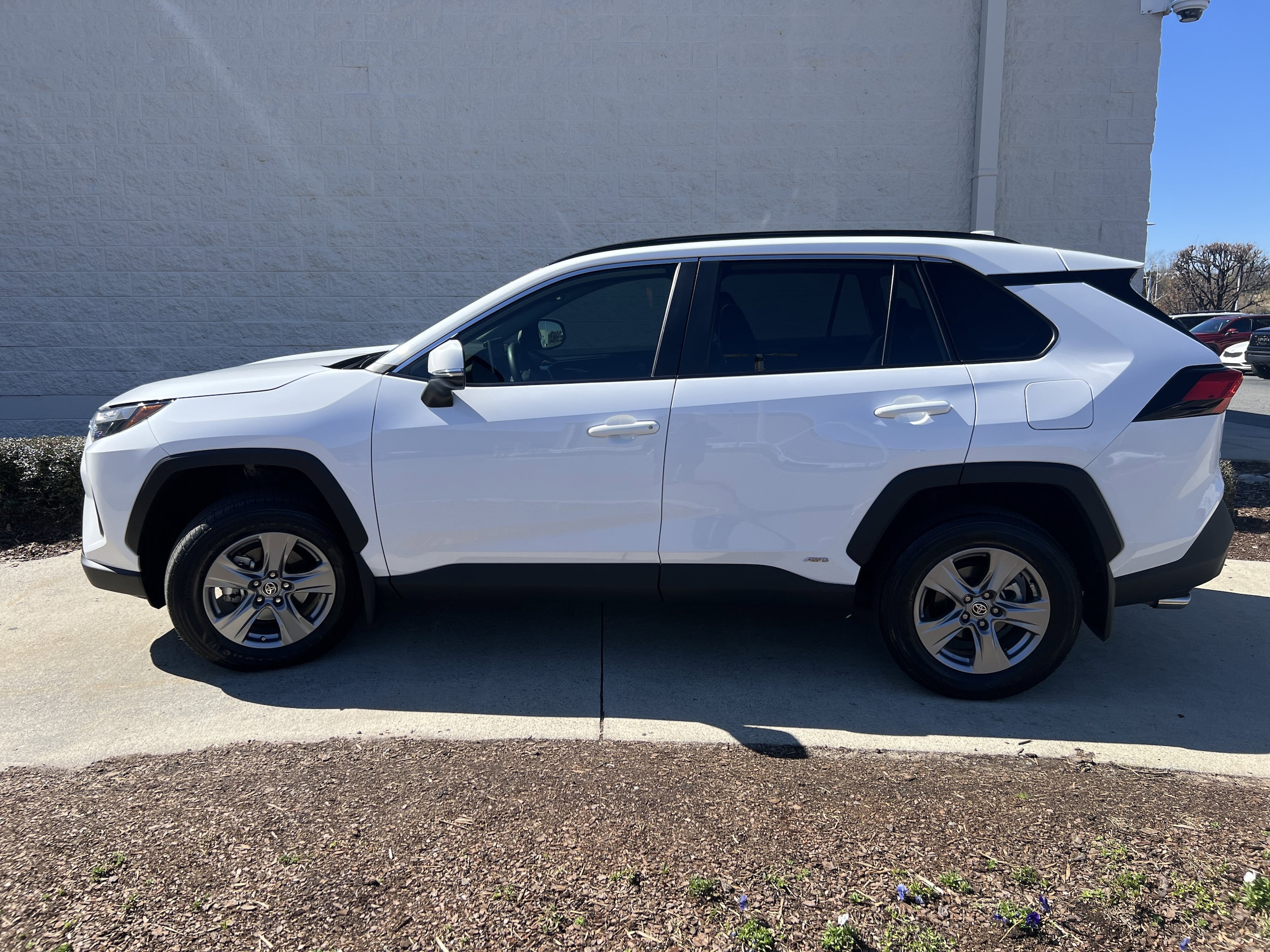 2025 Toyota RAV4 Hybrid XLE photo 5