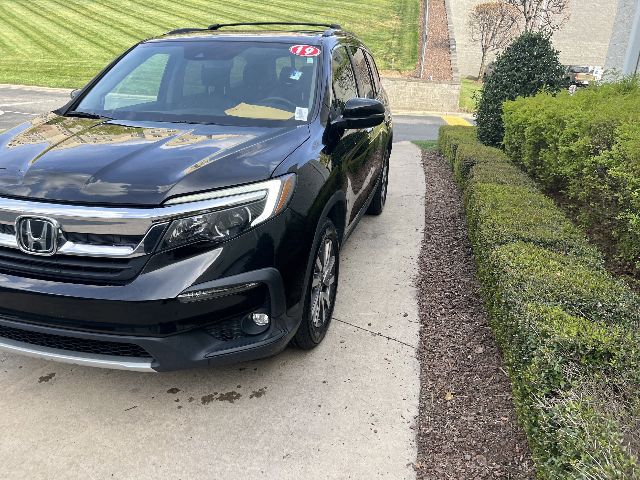 2019 Honda Pilot EX-L photo 4