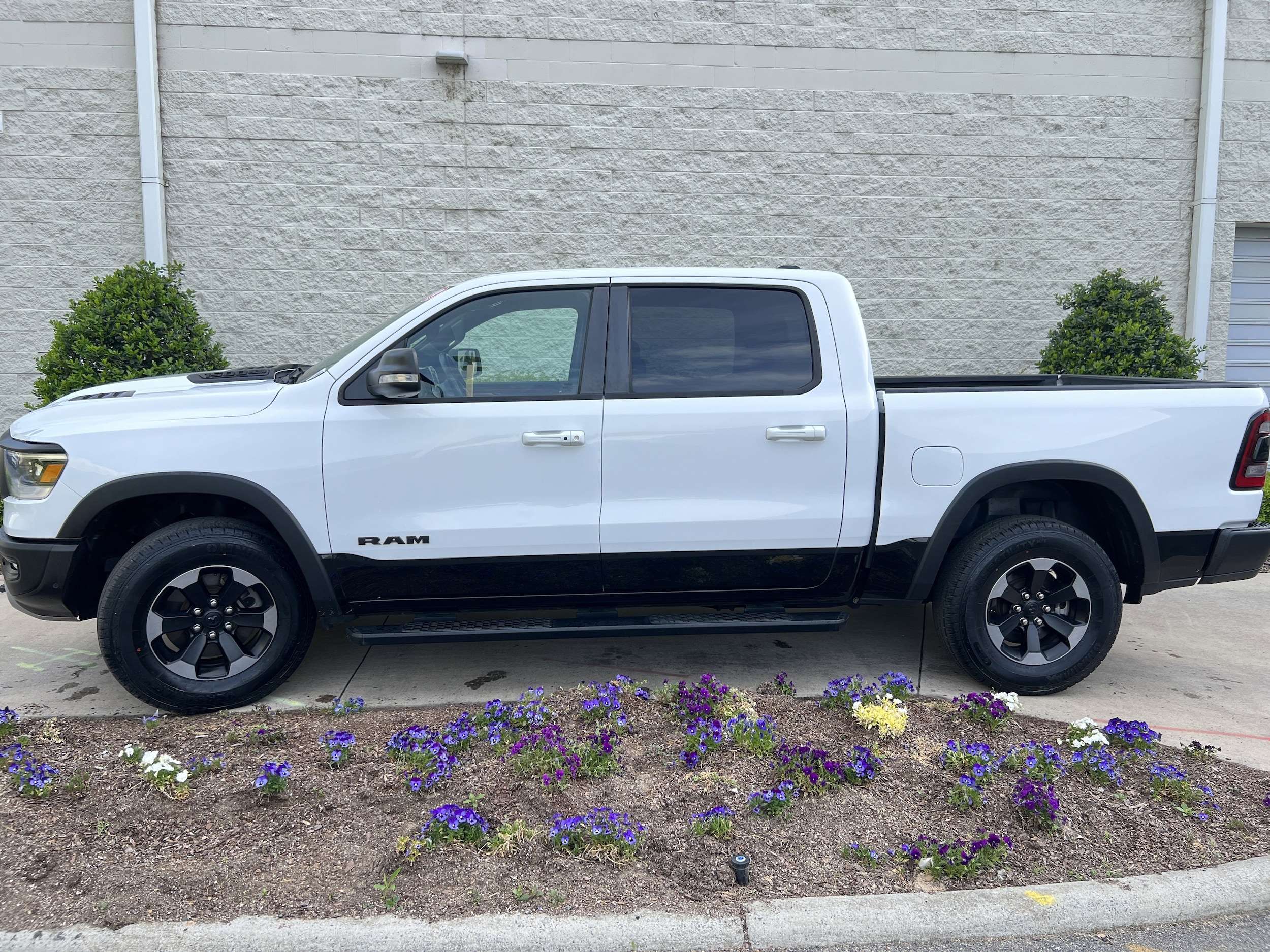 2019 Ram 1500 Rebel photo 6