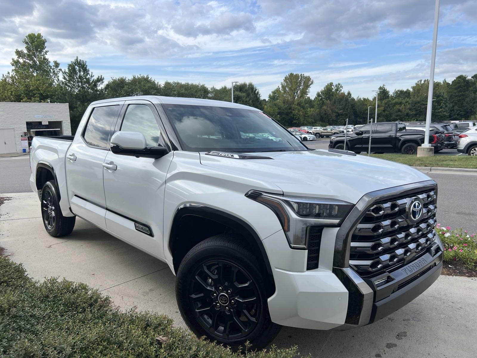 Used 2023 Toyota Tundra Platinum with VIN 5TFNC5DB3PX038412 for sale in Concord, NC