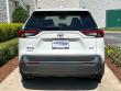 2024 Toyota RAV4 XLE SUV