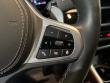 2025 BMW X6 M60i SUV