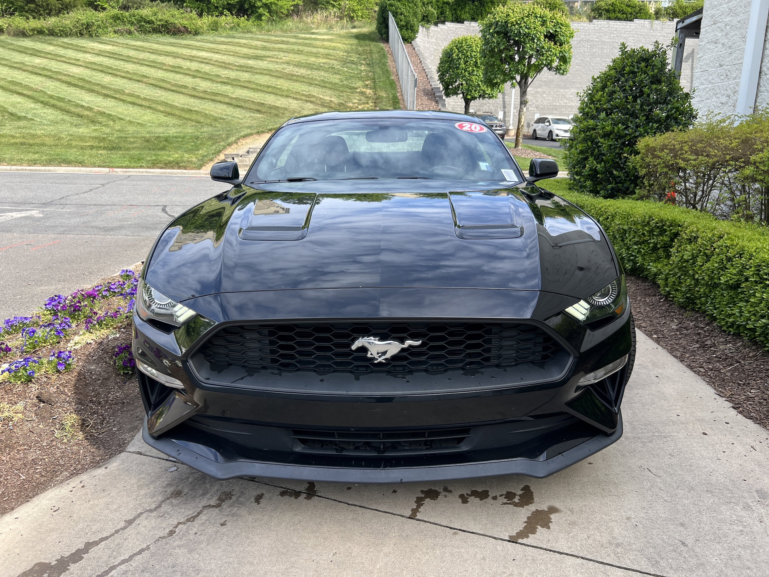 2020 Ford Mustang EcoBoost photo 2