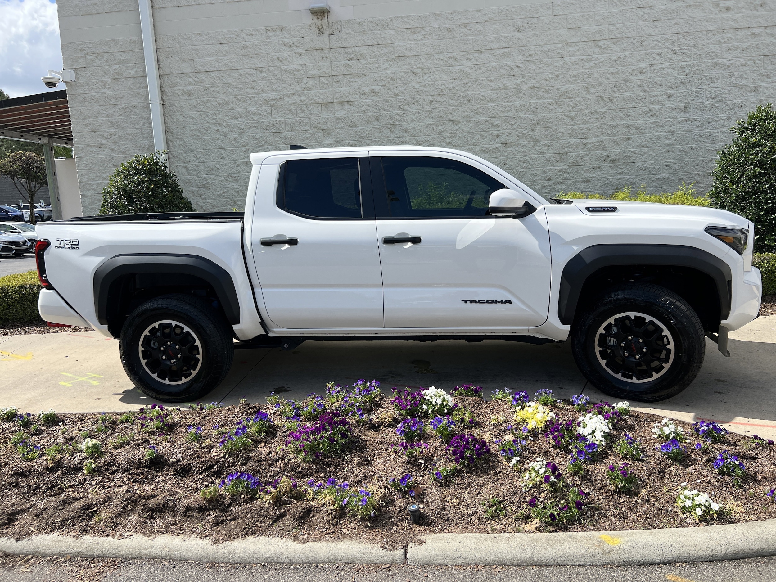 2025 Toyota Tacoma 4WD TRD Off Road Hybrid photo 5