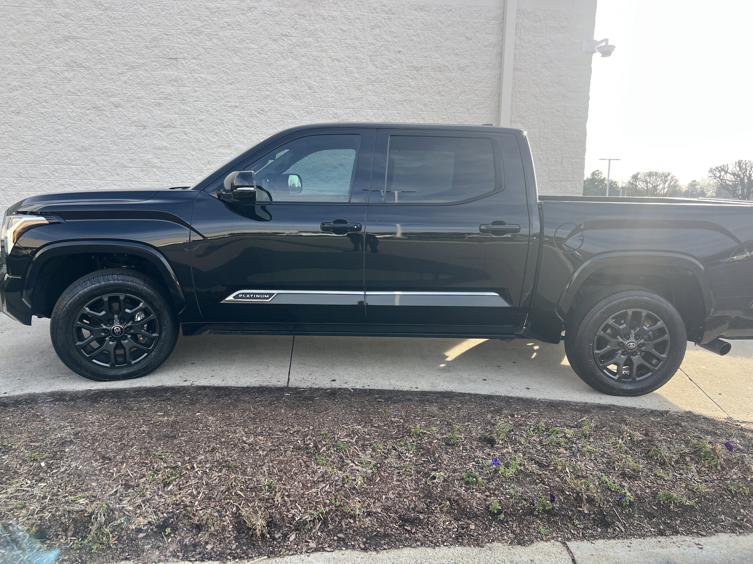 2025 Toyota Tundra 4WD Platinum photo 5