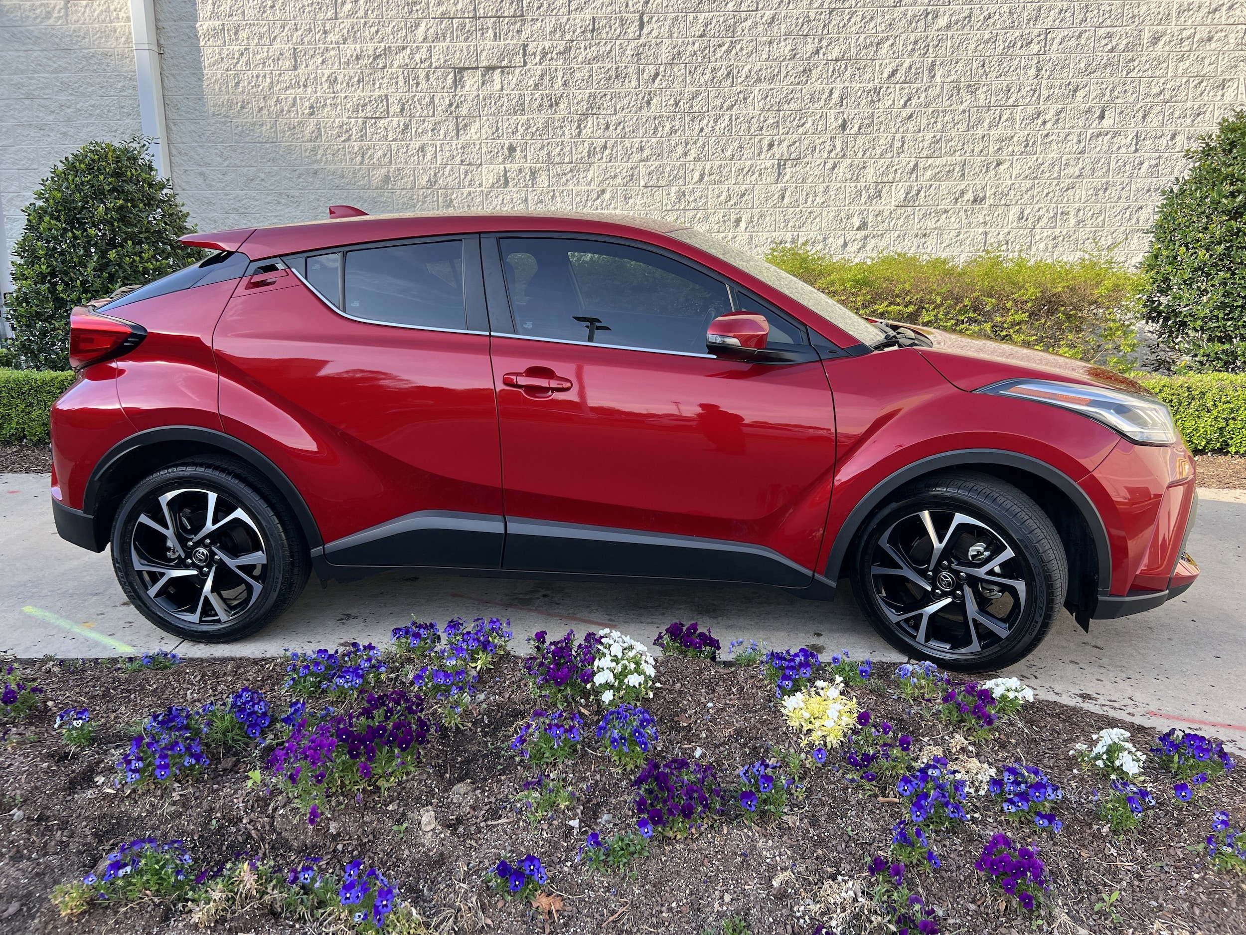 2020 Toyota C-HR XLE photo 6