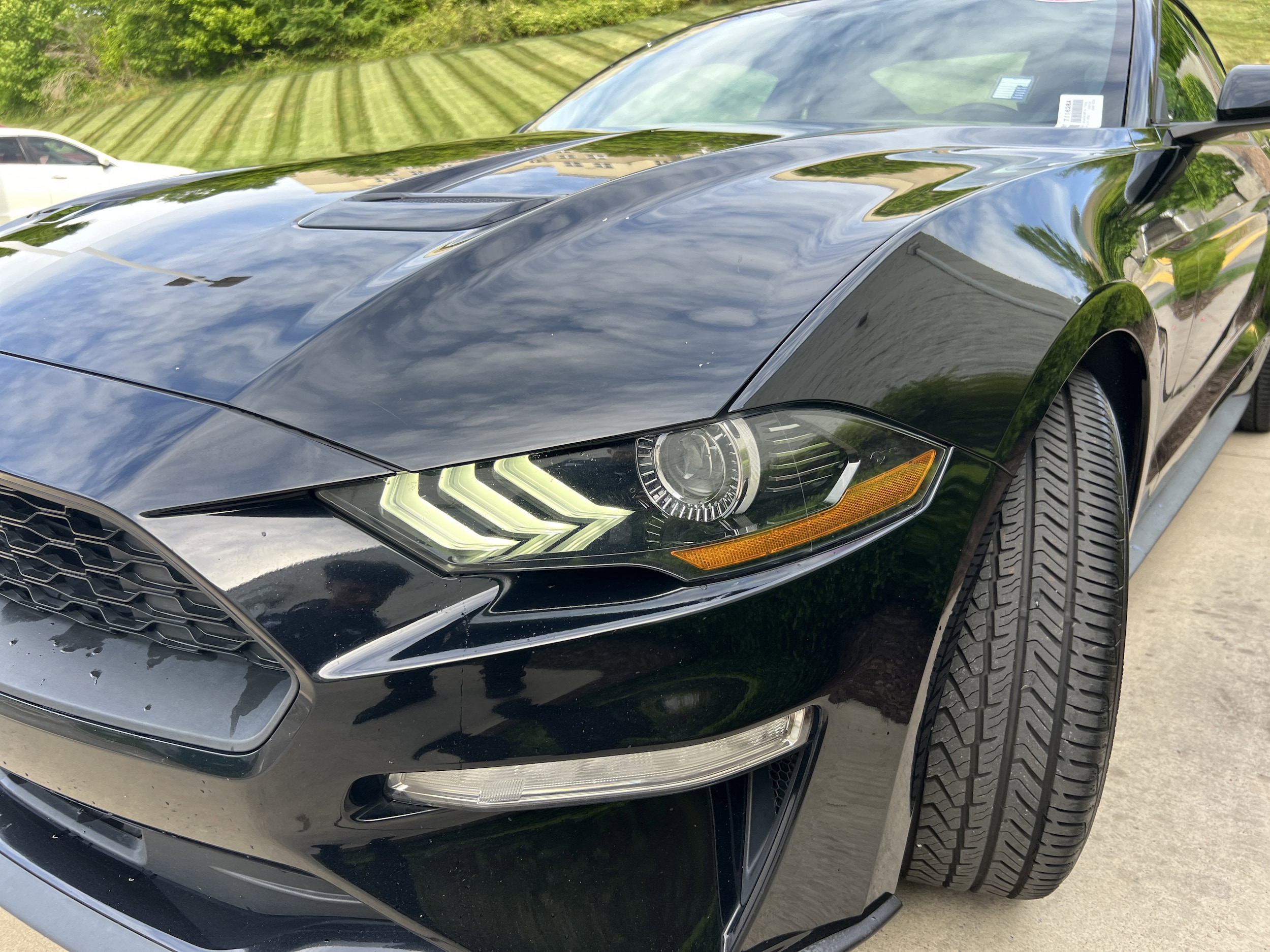 2020 Ford Mustang EcoBoost photo 5