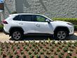 2024 Toyota RAV4 XLE SUV