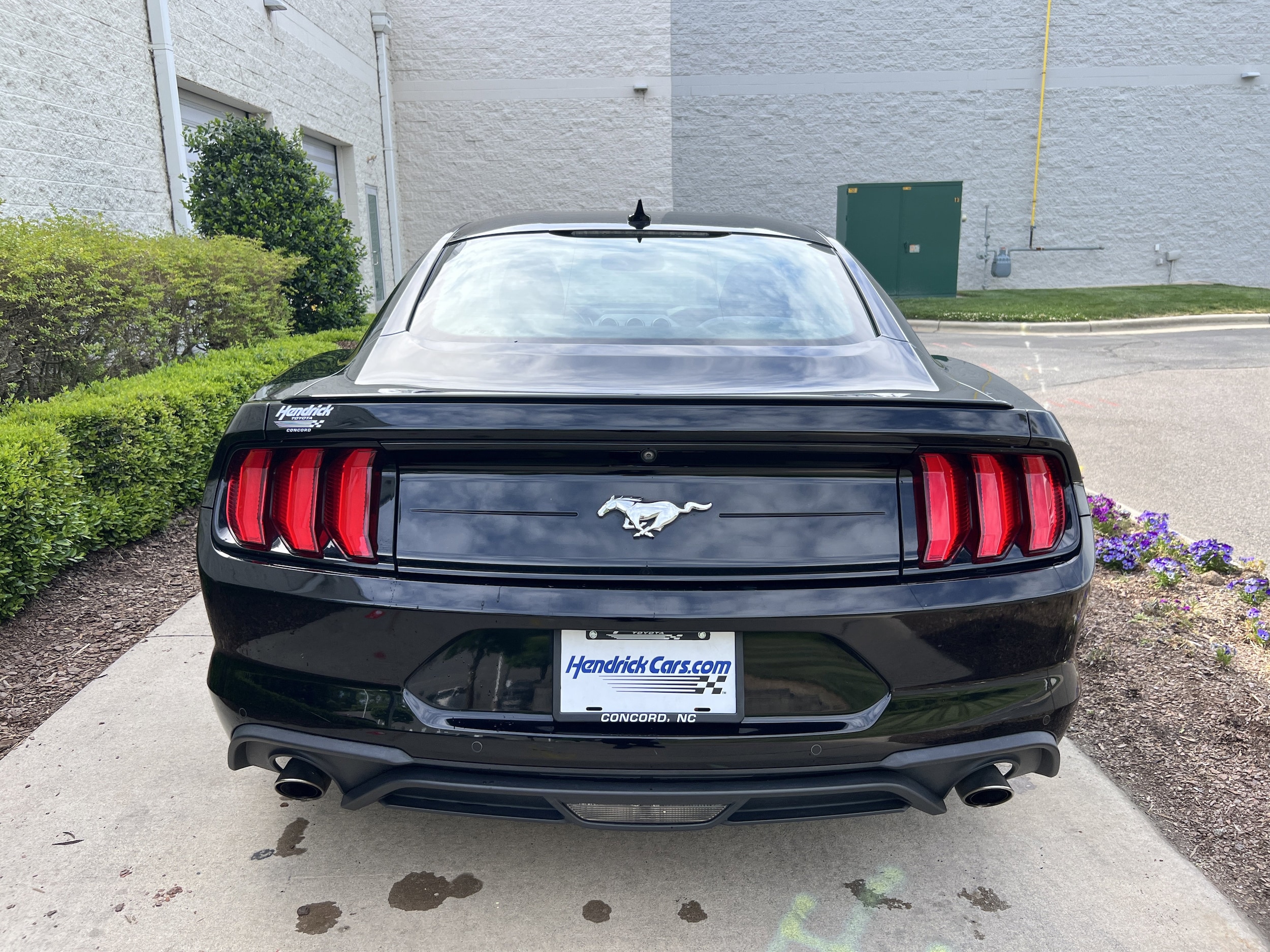 2020 Ford Mustang EcoBoost photo 3