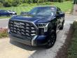 2025 Toyota Tundra 4WD Platinum Pickup