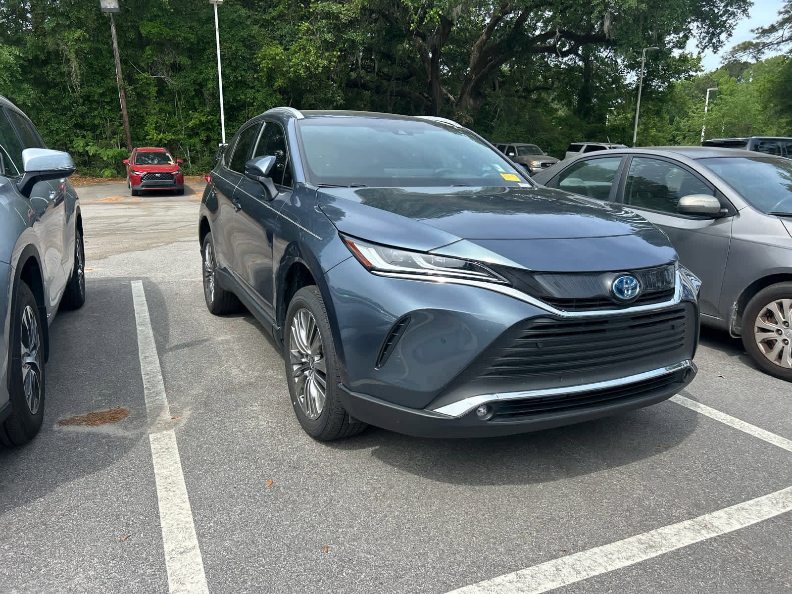 2024 Toyota Venza XLE photo 6