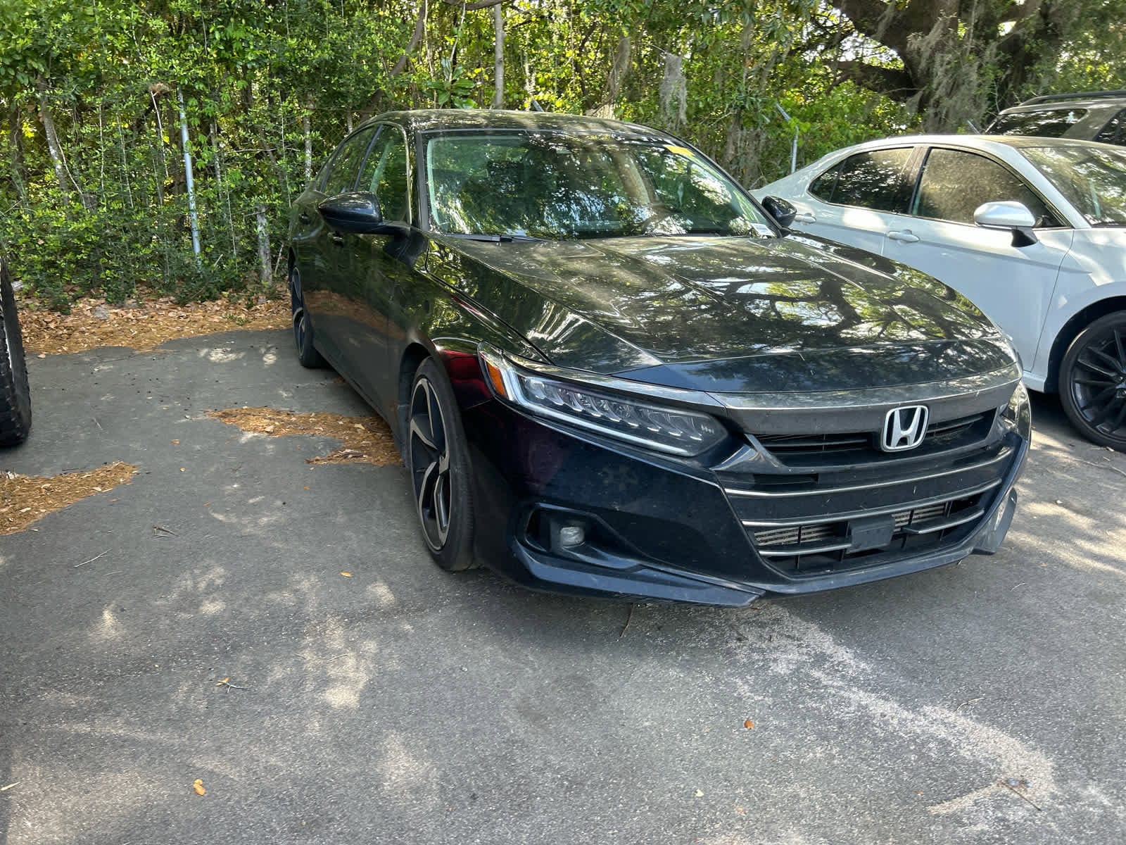 2022 Honda Accord Sport SE photo 5