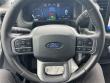 2025 Ford F-150 XLT Pickup