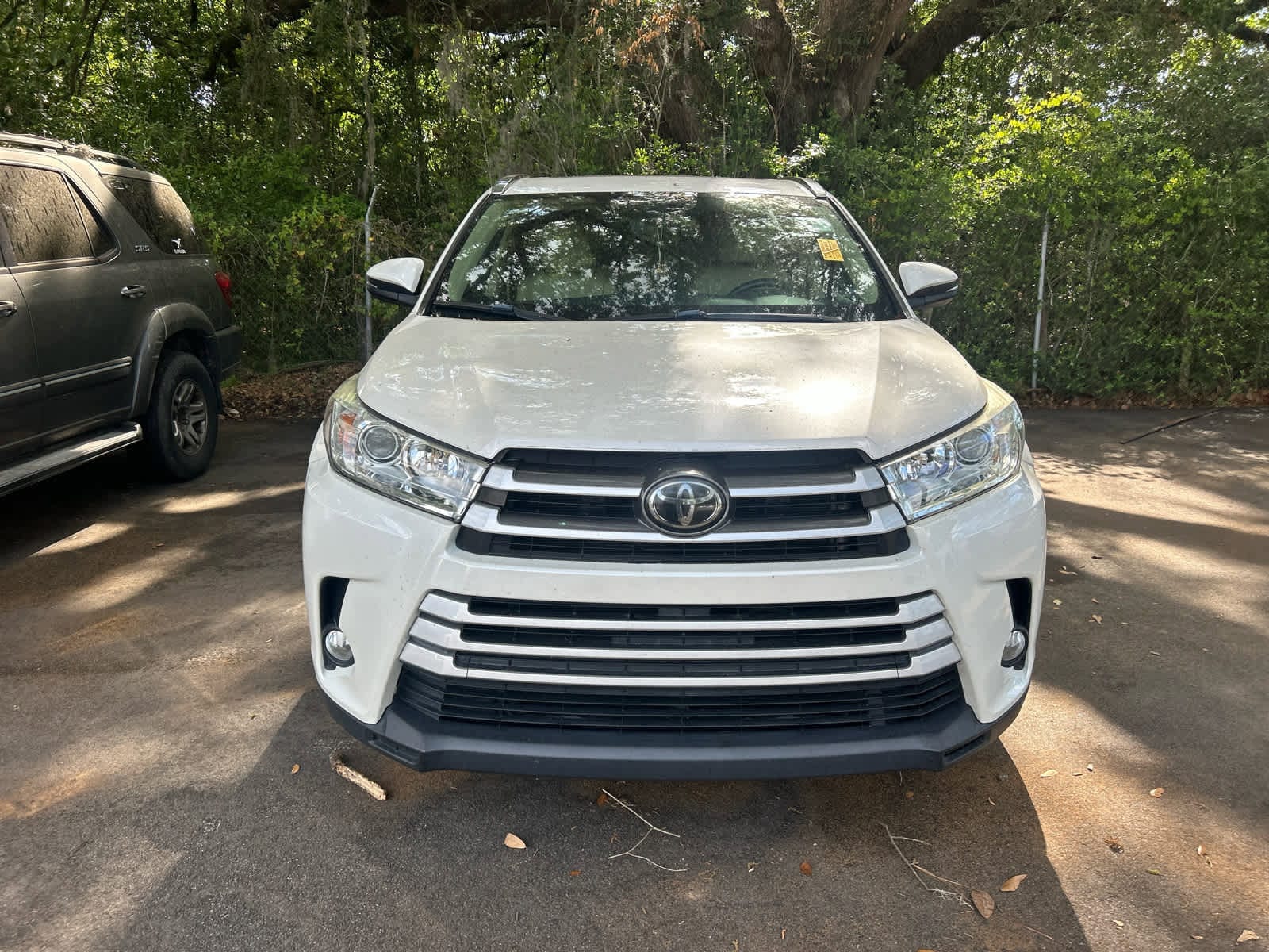 2019 Toyota Highlander XLE photo 6