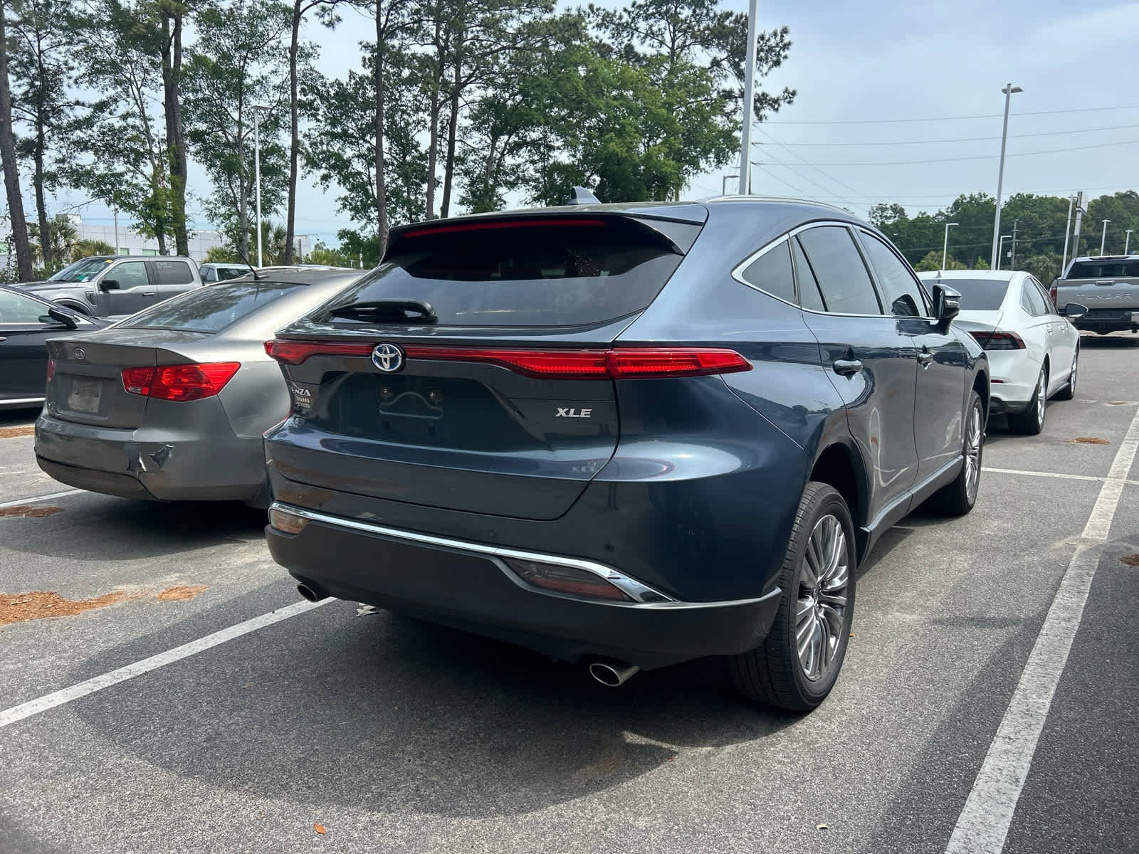 2024 Toyota Venza XLE photo 5