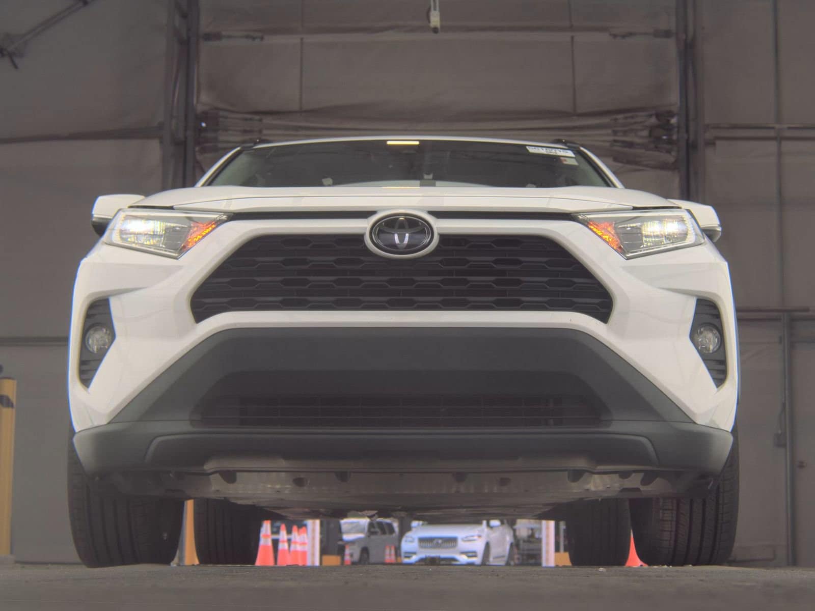 2019 Toyota RAV4 XLE Premium photo 2