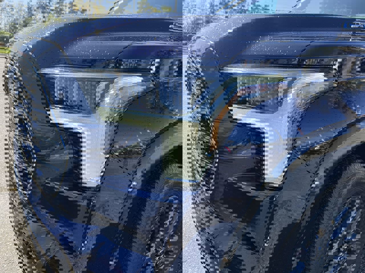 2026 Toyota Sequoia Platinum photo 5