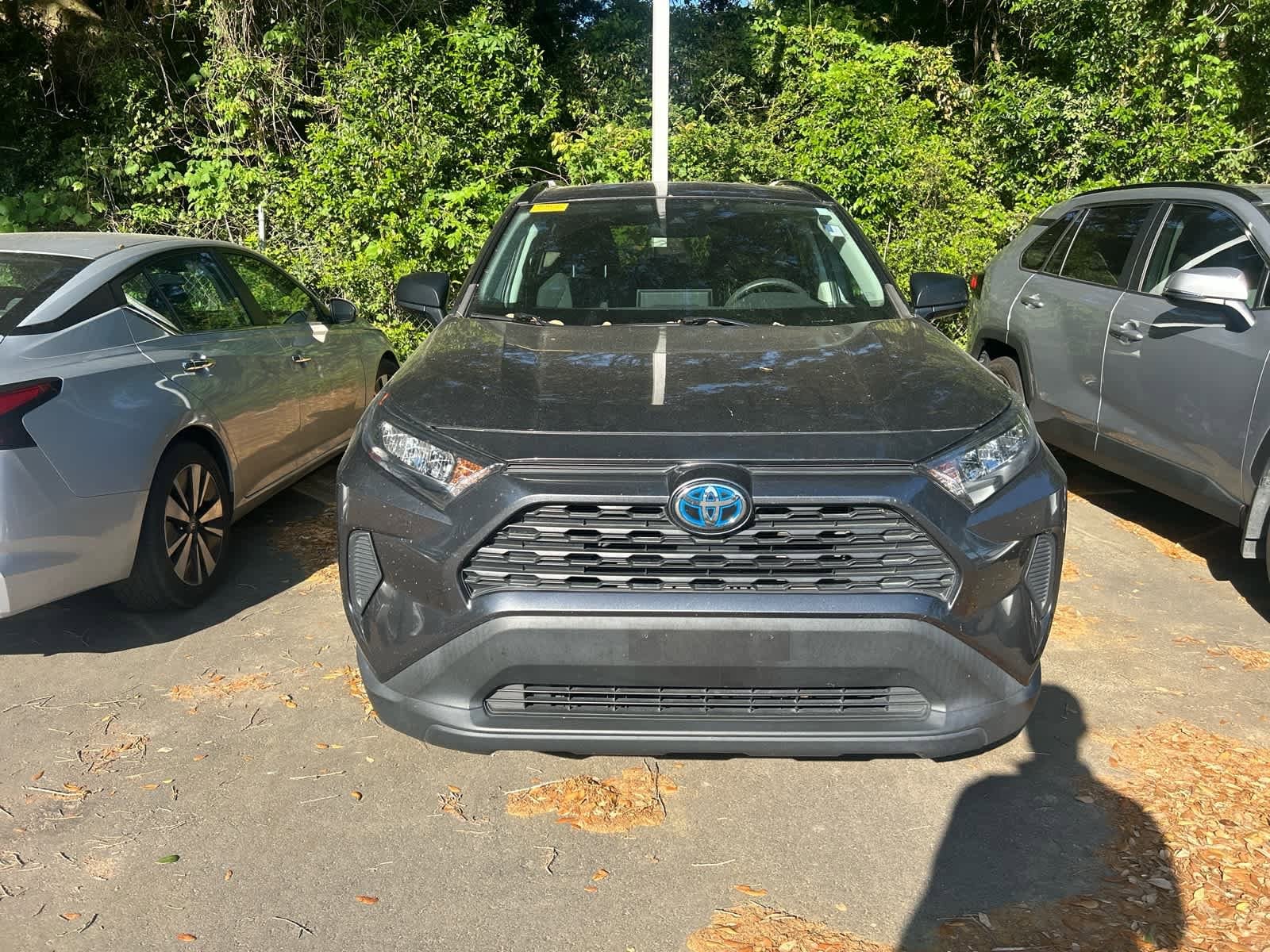 2021 Toyota RAV4 Hybrid LE photo 6