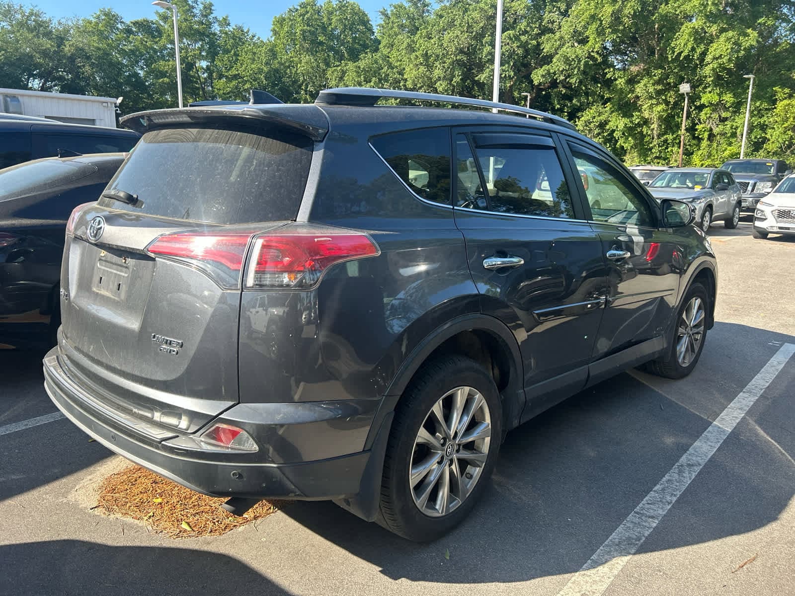 2017 Toyota RAV4 Limited photo 5