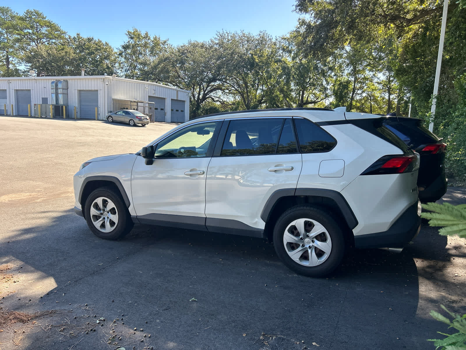2019 Toyota RAV4 LE SUV