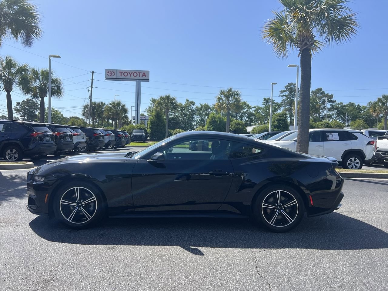 2024 Ford Mustang EcoBoost Premium photo 5