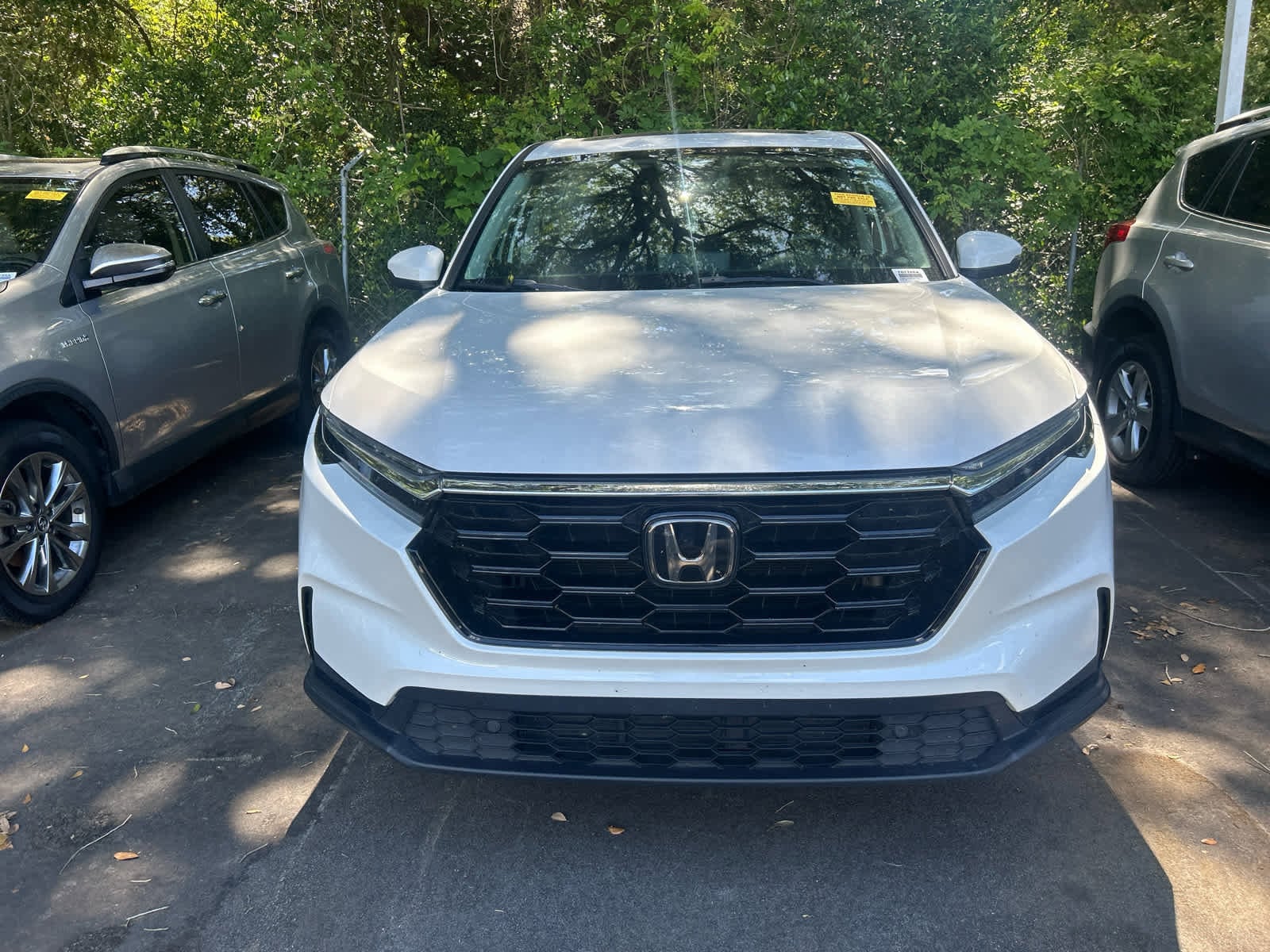 2023 Honda CR-V EX-L photo 6