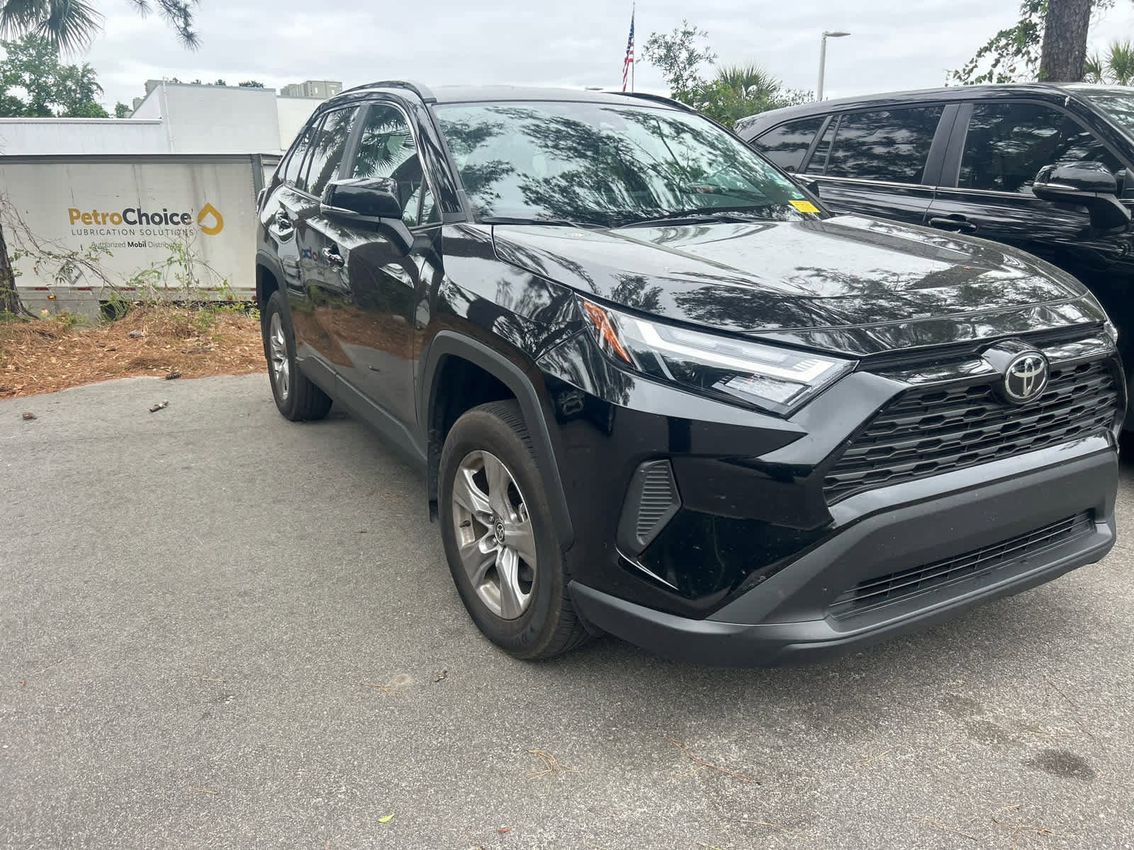 2025 Toyota RAV4 XLE photo 3