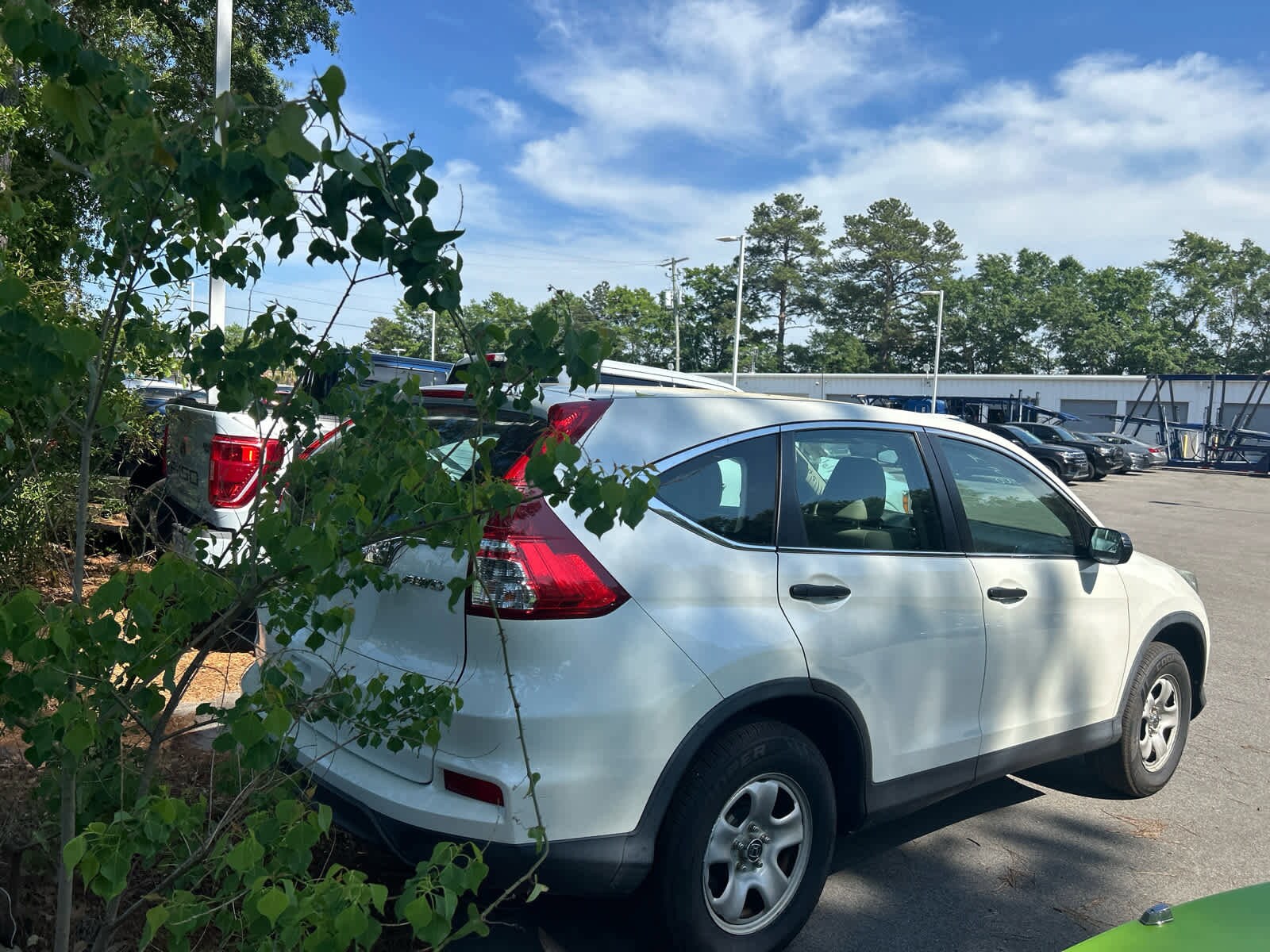 2015 Honda CR-V LX photo 5