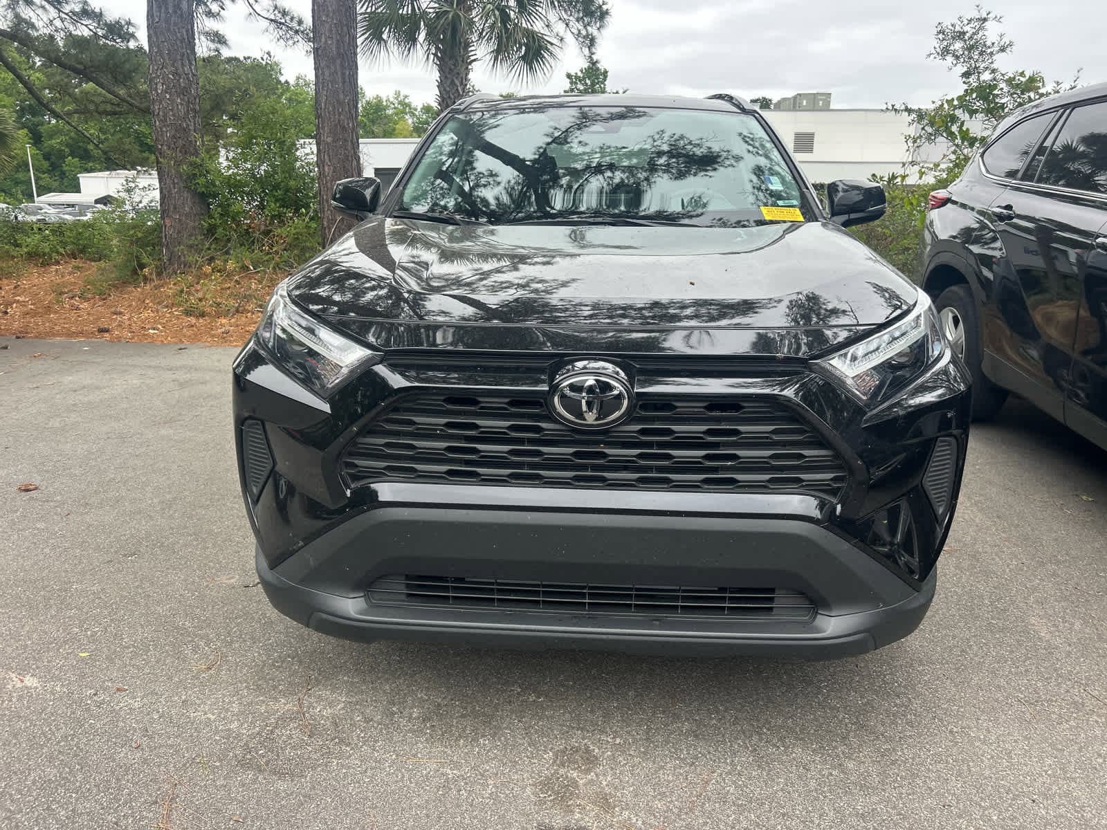 2025 Toyota RAV4 XLE photo 2