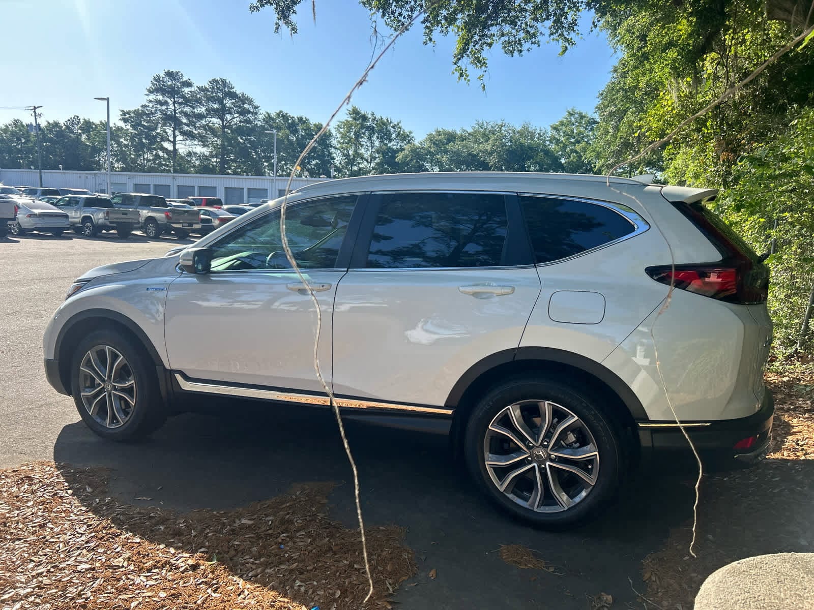 2022 Honda CR-V Hybrid Touring photo 6