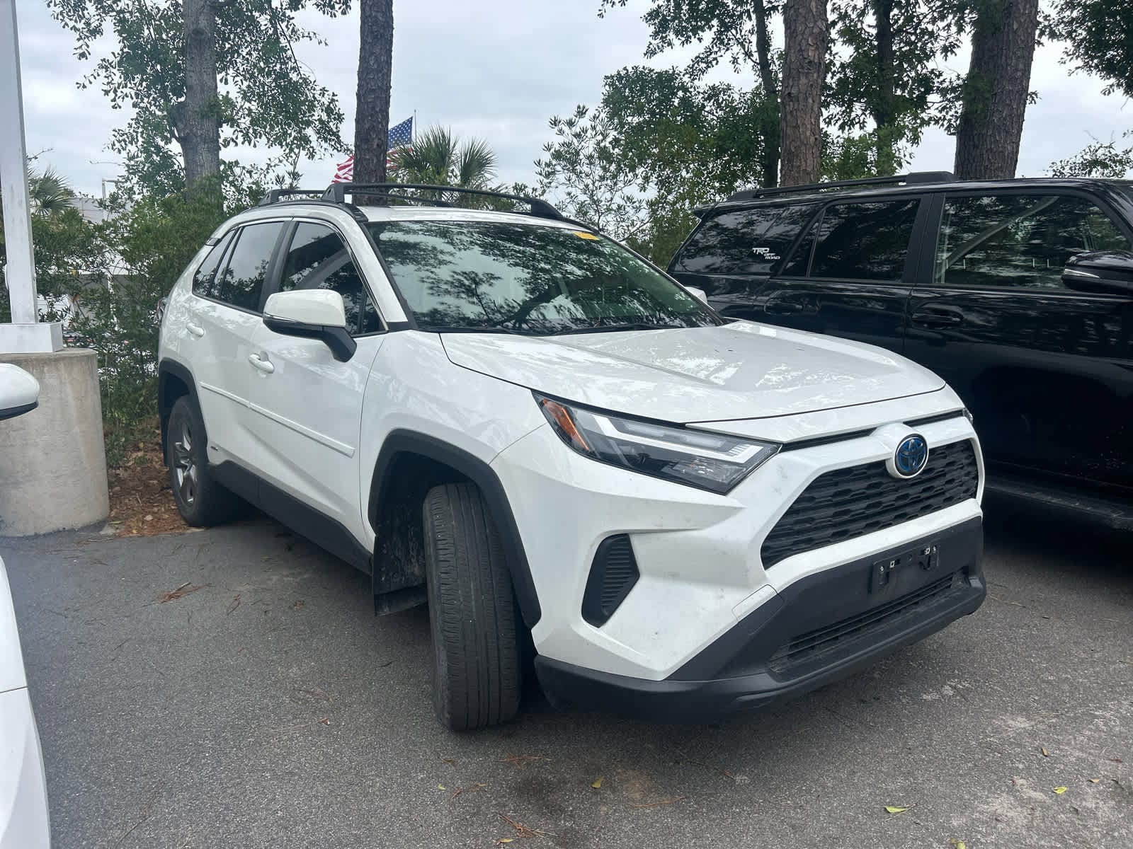 2024 Toyota RAV4 Hybrid XLE photo 3