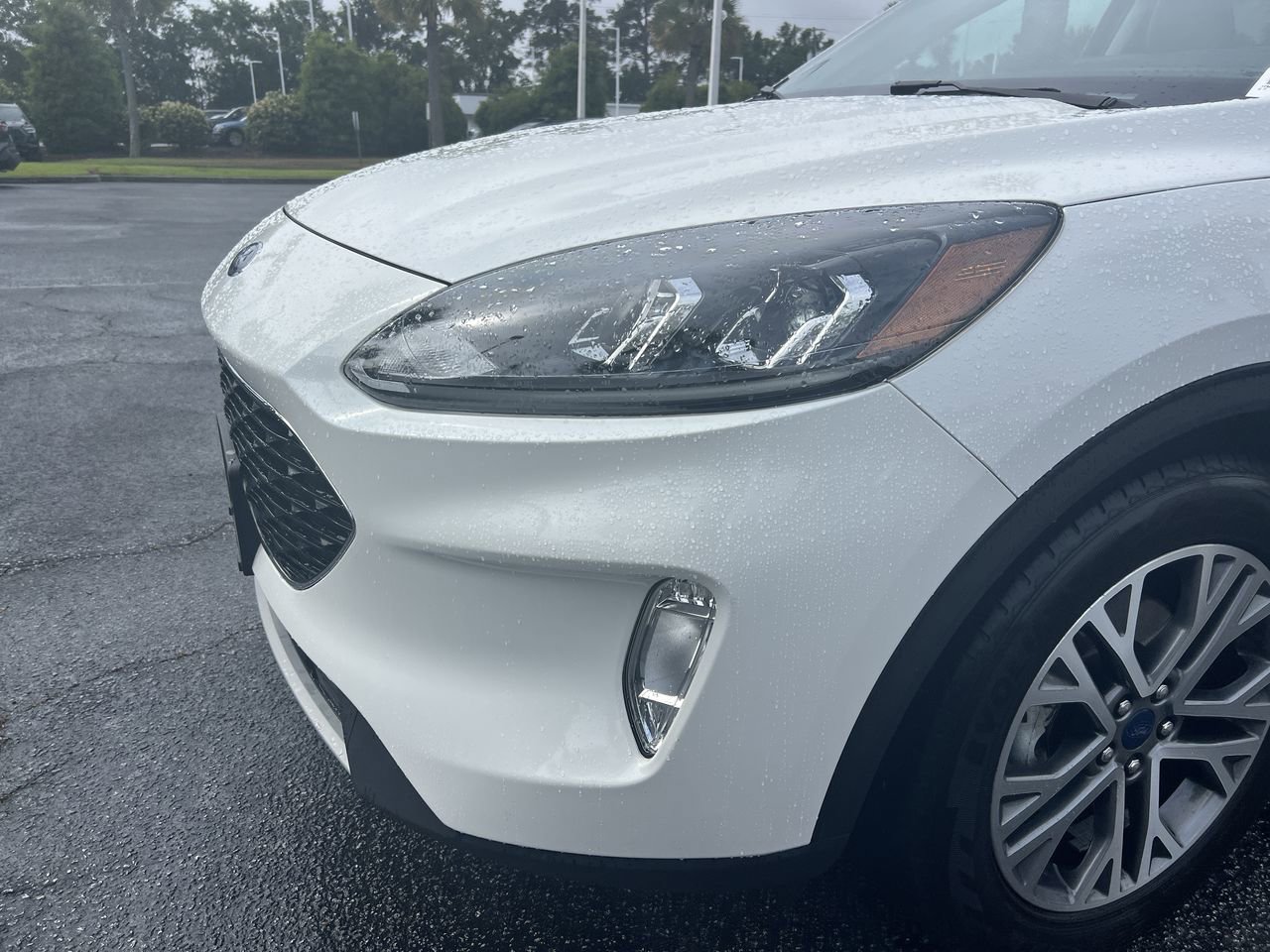 2022 Ford Escape SEL photo 4