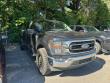 2023 Ford F-150 XLT Pickup