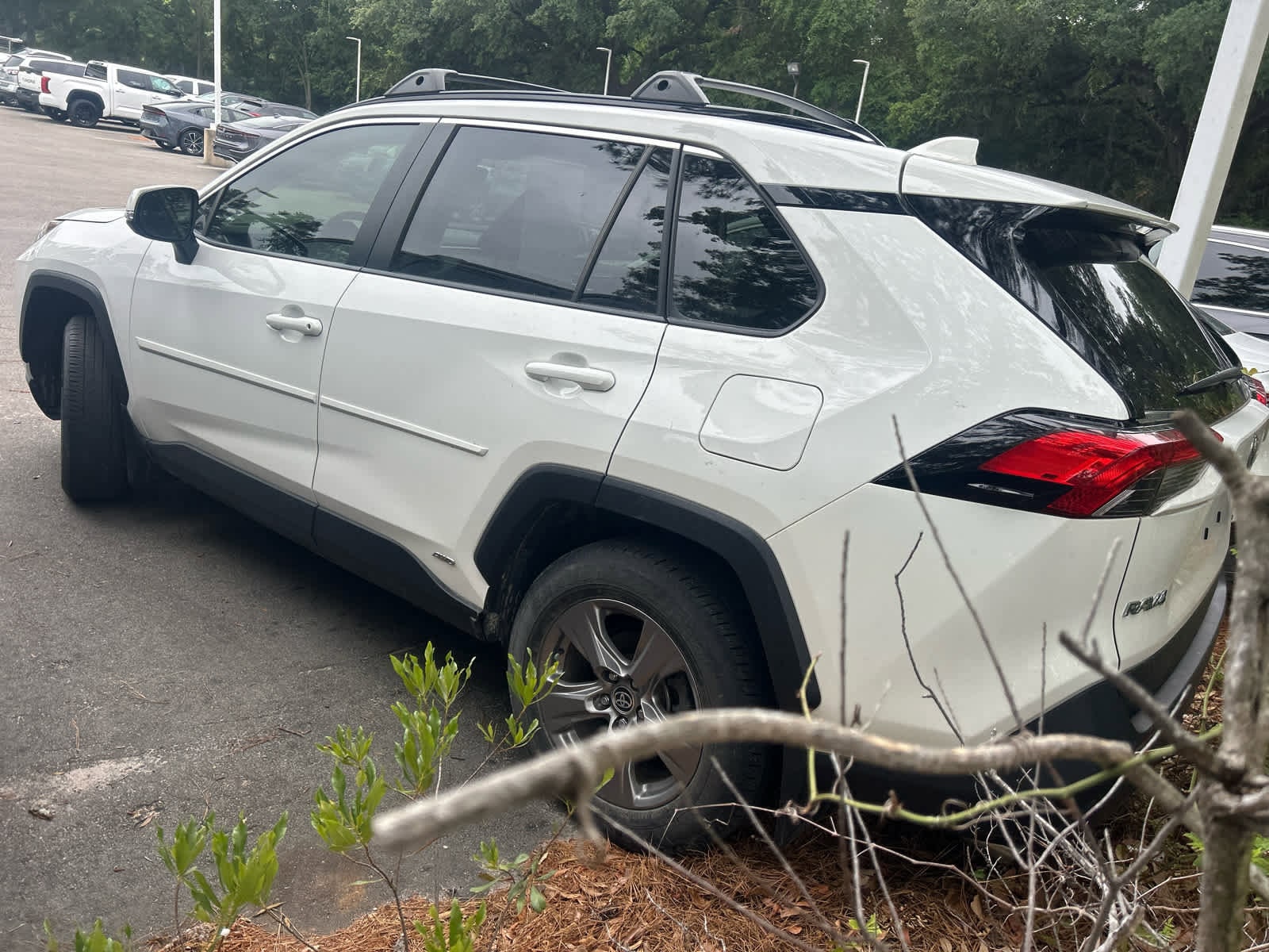 2024 Toyota RAV4 Hybrid XLE photo 5